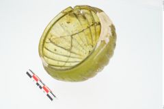 Foto von Glasrippenschale (NHMW-PRAE-025231)